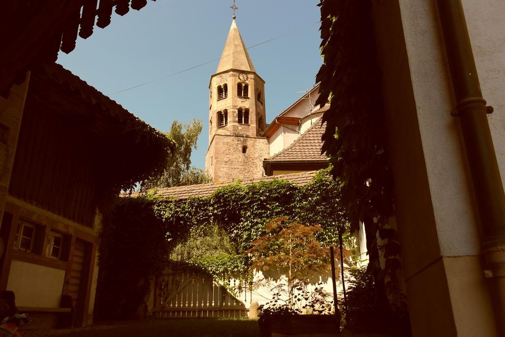 La Vieille Vigne Bed & Breakfast Gundolsheim Εξωτερικό φωτογραφία